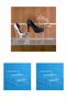 6 Pieces Plexi Transparent Stepped Shoe Rack Shoe Display Stand - 4