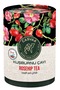 Casvaa Rosehip Tea 200 Gr