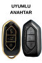 Togg T10X T10F Compatible 3 Button Nano Key Case Black Gold - 2