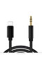 iPhone AUX audio cable