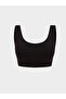 Non-Wireless Padded Plain Seamless Sports Bra