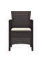 Garden Chair 2 pcs Brown 53 x 49 x 85 cm Polypropylene - 2