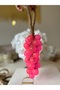 Large Size Double Grape Soap - 3