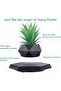 Magnetic Levitating Floating Plant Pot for Succulents and Air Plants - 4