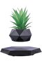 Magnetic Levitating Floating Plant Pot for Succulents and Air Plants