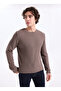 Round Neck Regular Fit Dark Mink Men's Sweater 261 Lcm 241018 Duane K.Vizon