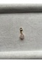 Pink Quartz Stone Take-Off-And-Attach Natural Stone Charm |   Adapts to Daily Life