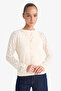 Regular Fit Crew Neck Lace-Like Knit Buttoned Knit Cardigan G0191AX25AU - 3