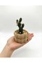 Cactus Design Jewelry Box |   Ring, Bracelet and Necklace Organizer |   Decorative Storage Box - 6