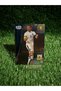 Giorgos Karagounis Fans' Favorite Brazil World Cup Game Card
