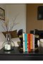 Set of 2 Decorative Concrete Antique Bust Bookends 26 cm Black Sculpture Figurine Library Accessory - 2