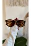Unisex Women's Men's Uv400 Protected Oval Round Sunglasses with Frame, Case and Cleaning Cloth as a Gift - 4
