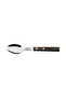 Stainless Steel Dessert Spoon with Treated Brown Polywood Handle