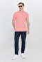 Gul Kurusu Slim Fit Slim Fit Polo Neck 100% Cotton Patterned T-Shirt - 2