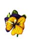 - Tülin 3528 6652 Handmade Stumpwork Embroidered 3D Flower Brooch and Hair Clip Set of 2 - 5