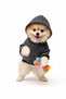 City Series Hat Dog Sweat Cat Sweat Fleece-Lined City Series - 4
