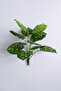 Artificial Plant 12 Leaf Lumina Bunch 47 cm Green - 3