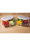 Feyzade Fresco Glass Lockable Rectangular Storage Container Set of 2 1700Cc