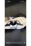 3-Pack Solid Color Plus Size Underwire Unlined Bra - 4