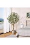 180cm Artificial Olive Tree in Pot with Realistic Fruit & Branches, Indoor/Outdoor Home Gift - 4