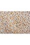 Premium Dried Whole Yellow Corn Kernels 20 kg - 3