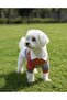 Handmade Shirt Collar Dog Outfit - Sweater Model - Suitable for Small Breed - Medium Breed - Large Breed