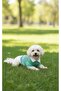 Handmade Shirt Collar Dog Outfit - Sweater Model - Suitable for Small Breed - Medium Breed - Large Breed - 5