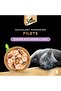 Cat Food Chicken with Shrimp & Tuna Filets - 2