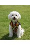 Plush Patchwork High-Necked Dog Outfit - Dog Vest - Welsoft Dog Outfit - 2