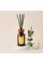 Mahogany Silk Scented Reed Diffuser Set - 300 ml