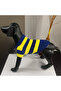 Yellow Navy Blue Fan Sweater for Cat and Dog - 2
