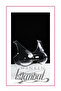Bra Display Mannequin - Transparent Body Mannequin for Showcase - 7