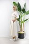 504 Sleeveless, Waist Belt, Linen Shirt Dress - 3