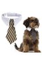 L Red 2023 Dog Cat Grooming Cat Striped Bow Tie Animal Striped Bow Tie Collar Pet Adjustable Christm - 7