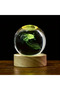 Salamander 1 pc 3D Salamander Crystal Ball gift with wooden lamp holder, salamander filled glass bal - 3