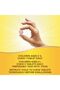 , Alive! Children's Chewable Multi-Vitamin, Orange + Berry Fruit Flavors, 120 Chewable T - 5