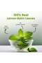 Lemon Balm Herbal Tea, Stress Relief & Digestion, Caffeine-Free, 50g (50+ Cups) - 2