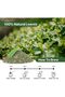 Lemon Balm Herbal Tea, Stress Relief & Digestion, Caffeine-Free, 50g (50+ Cups) - 4