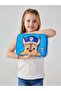 Paw Patrol Teeny Tiny Square Lunch Box Blue – Licensed, Preschool Kids Lunch Box