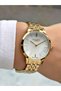 Special Design Steel Band Gold Color Women Wrist Watch Lc07941Mr - 4