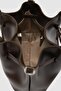 Polka Belted Handbag and Crossbody Bag Brown - 6