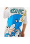 Sonic the Hedgehog Print T-shirt with Short Sleeves and Round Neck - 5