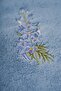 Set of 2 Microcotton 100% Cotton 50X100 Embroidered Hand-Face Towels Blue - 4