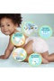 Baby Diapers Premium Care Size 5 42 Pieces Junior Jumbo Pack - 4