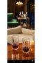 Audrey Set of 4 Long Size Liquor Glasses - 6