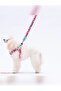Ballons Leash Cat Dog Training & Walking Strap Dog Extension Leash - 2