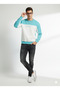 Men's Crew Neck Double Yarn B Printed Cotton Inside Sweatshirt