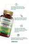 Shiffa Home Ginkgo Biloba 60 Capsule Gink Biloba Capsule - 2
