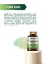 Shiffa Home Ginkgo Biloba 60 Capsule Gink Biloba Capsule - 3