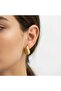 Steel Jeweler Model Bombé Earrings
